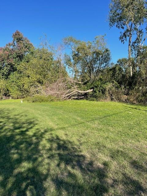 000 Cartersville Street, Houston, Texas image 15
