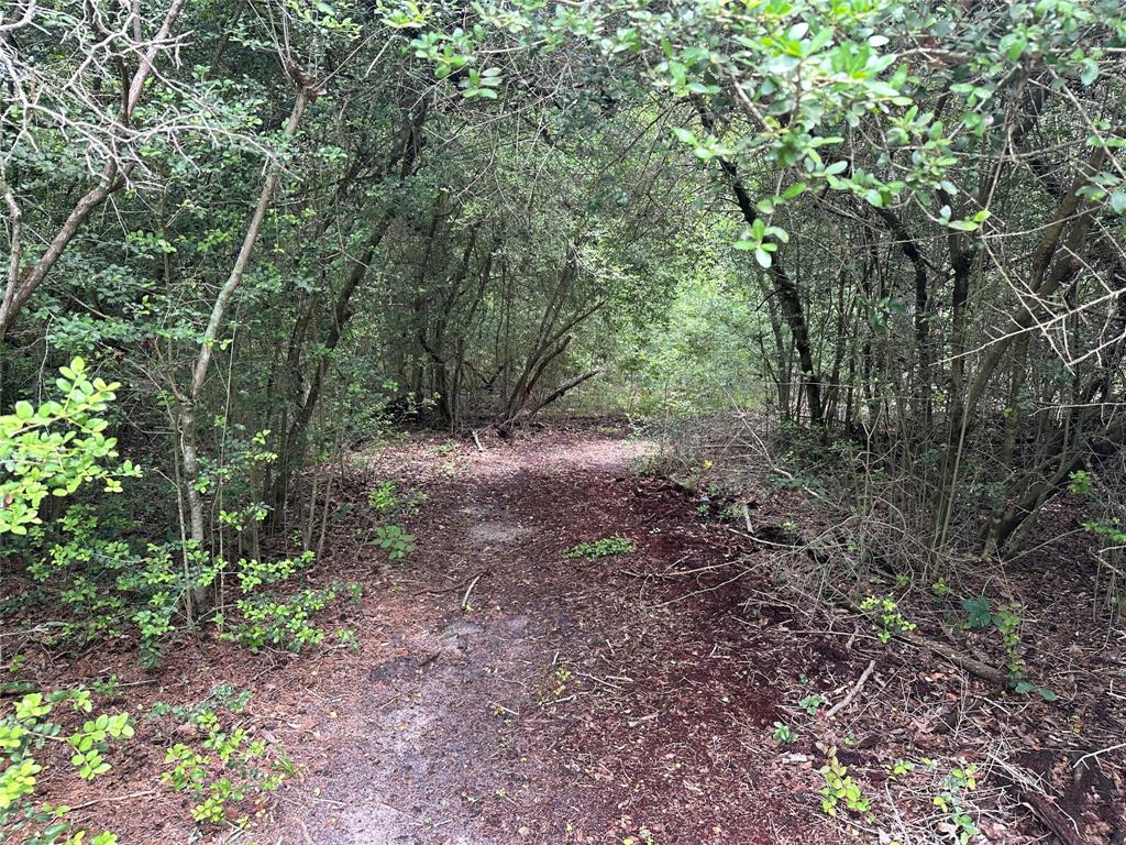 7971 County Road 2751, Buffalo, Texas image 18