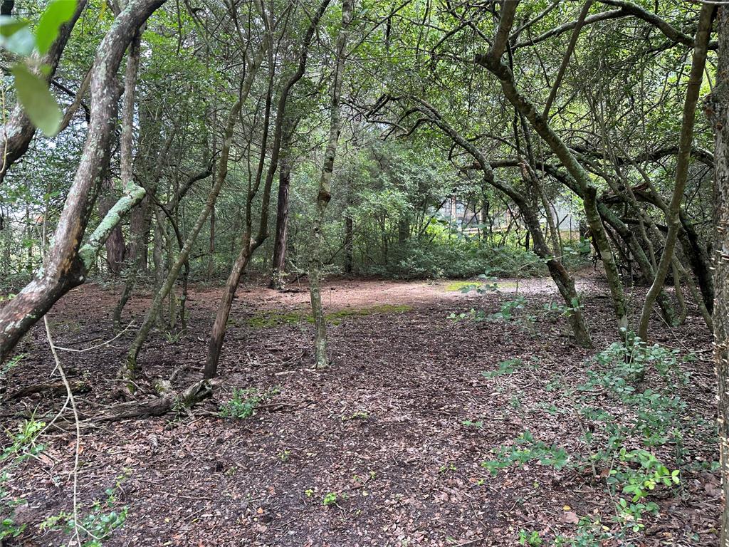 7971 County Road 2751, Buffalo, Texas image 16