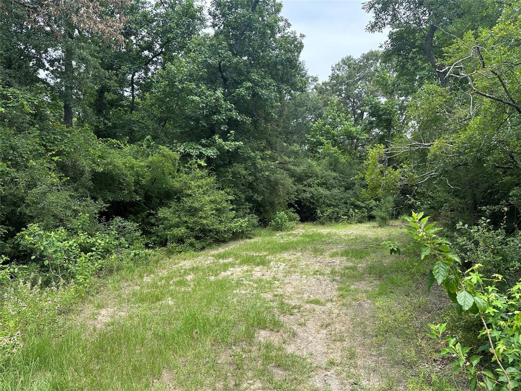 7971 County Road 2751, Buffalo, Texas image 17