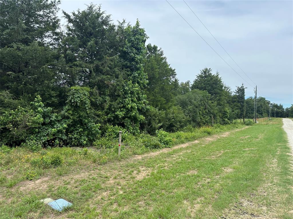 7971 County Road 2751, Buffalo, Texas image 15