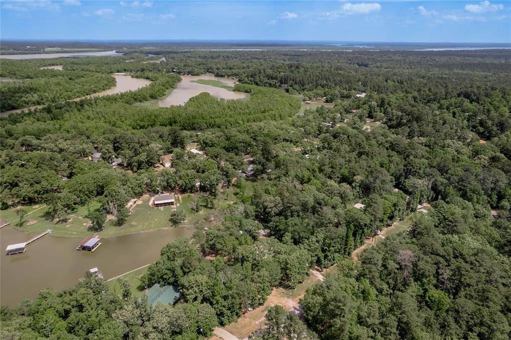 301 Chestnut Bend, Huntsville, Texas image 38