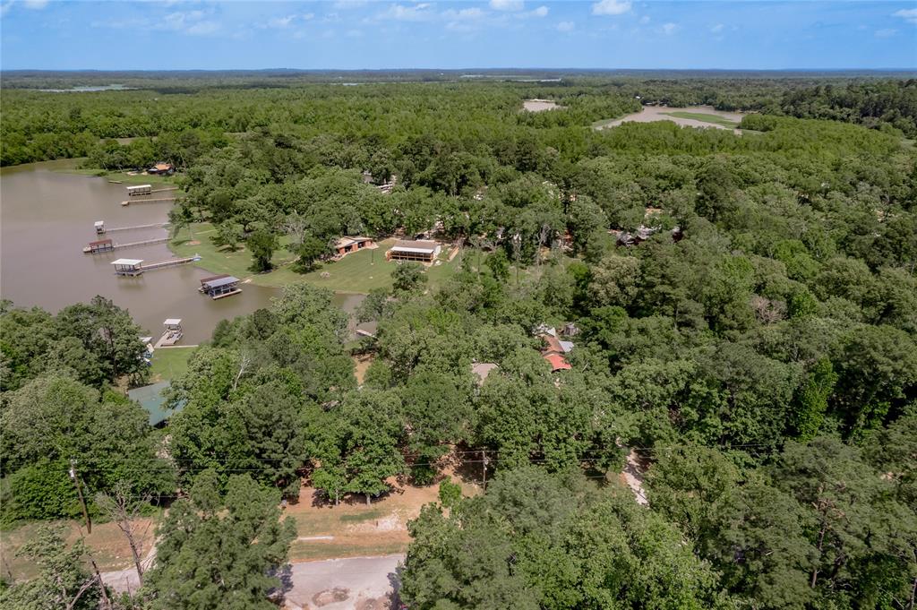 301 Chestnut Bend, Huntsville, Texas image 41