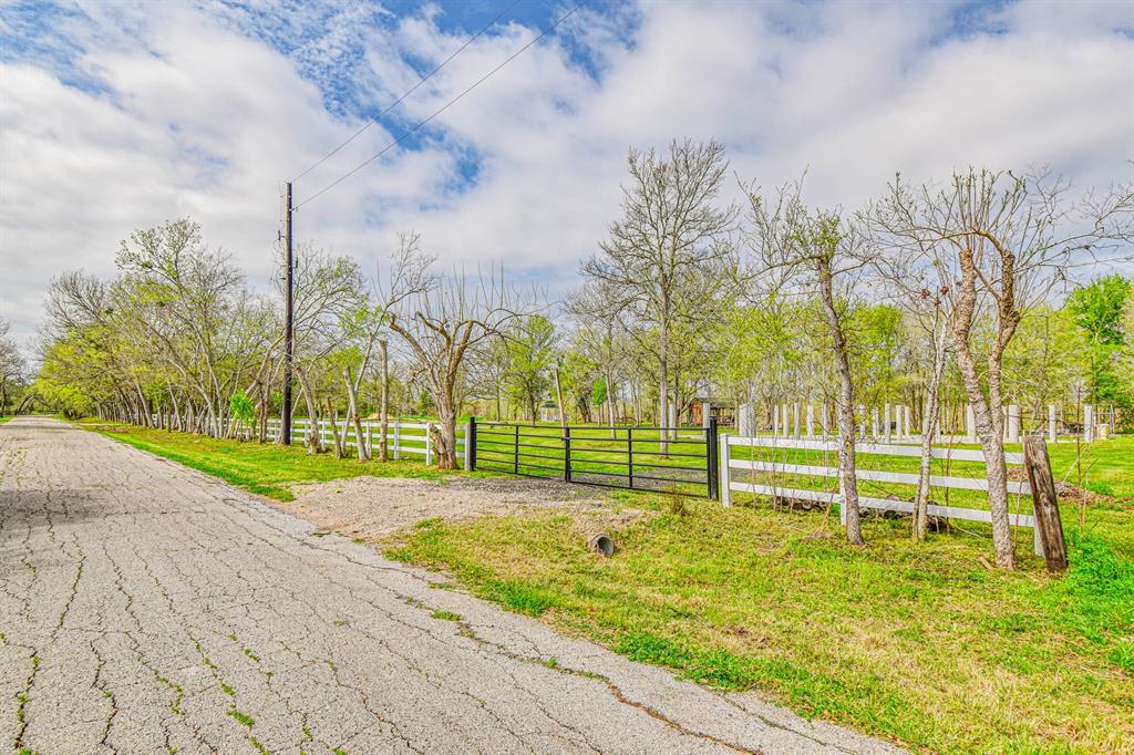 Buckskin, Simonton, Texas image 18