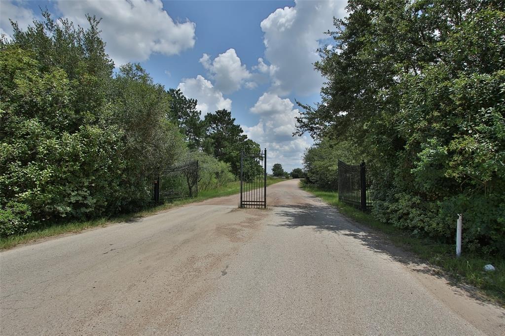 Grant Road, Cypress, Texas image 18