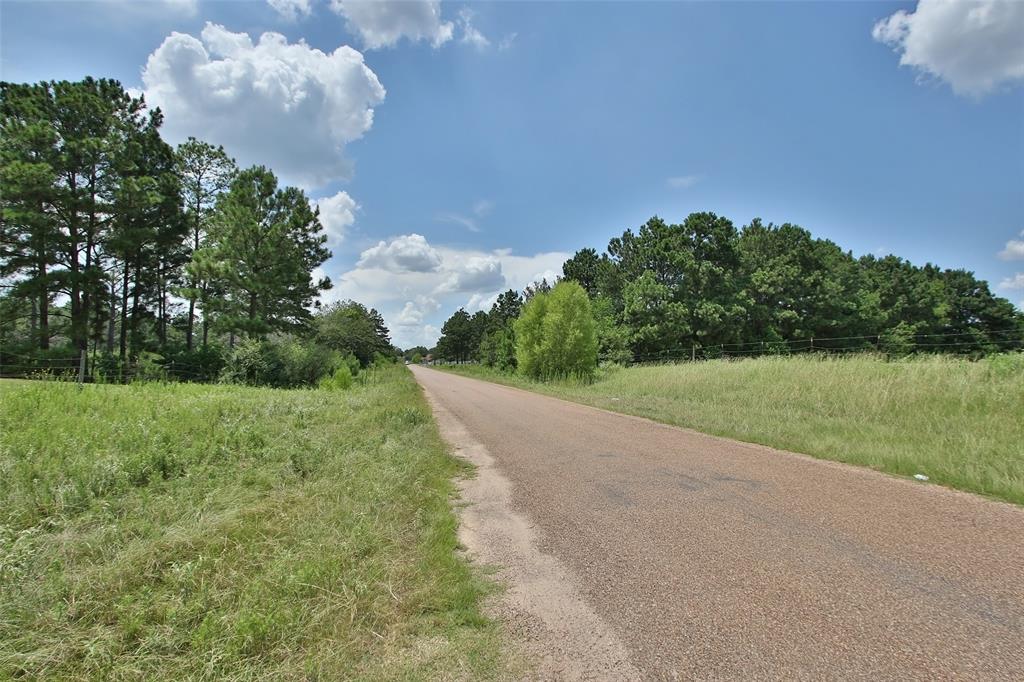 Grant Road, Cypress, Texas image 30