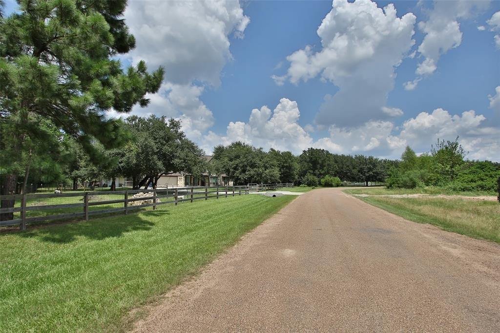 Grant Road, Cypress, Texas image 22