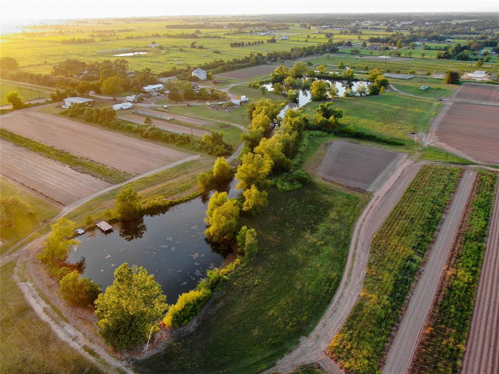 14134 Penick Rd Rd, Waller, Texas image 3