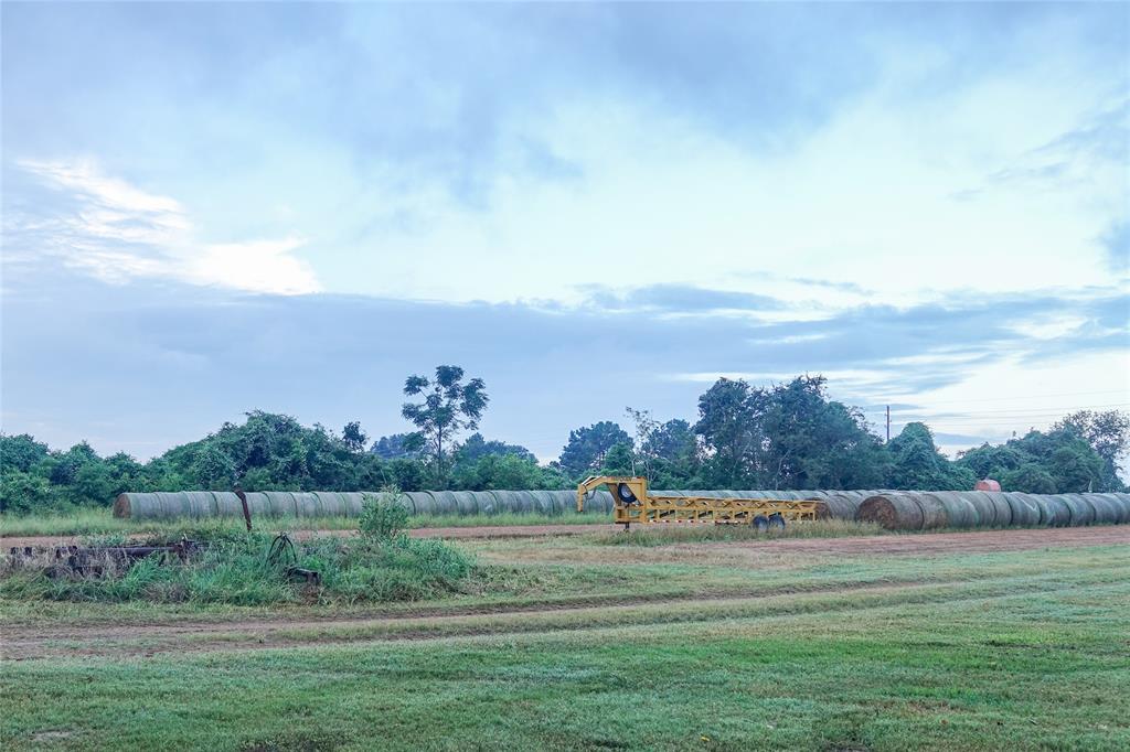 14134 Penick Rd Rd, Waller, Texas image 39