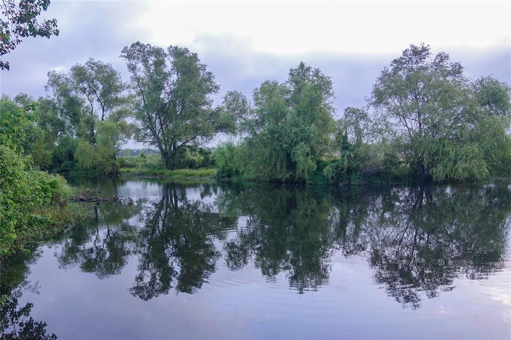 14134 Penick Rd Rd, Waller, Texas image 34