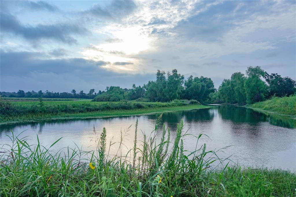 14134 Penick Rd Rd, Waller, Texas image 30