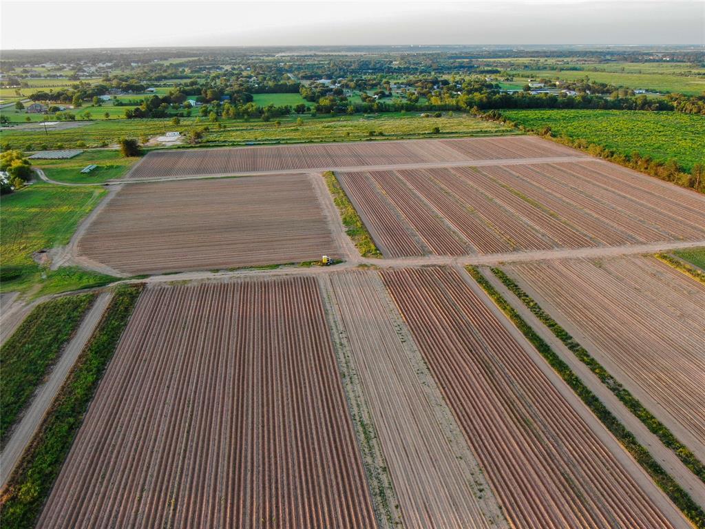 14134 Penick Rd Rd, Waller, Texas image 9