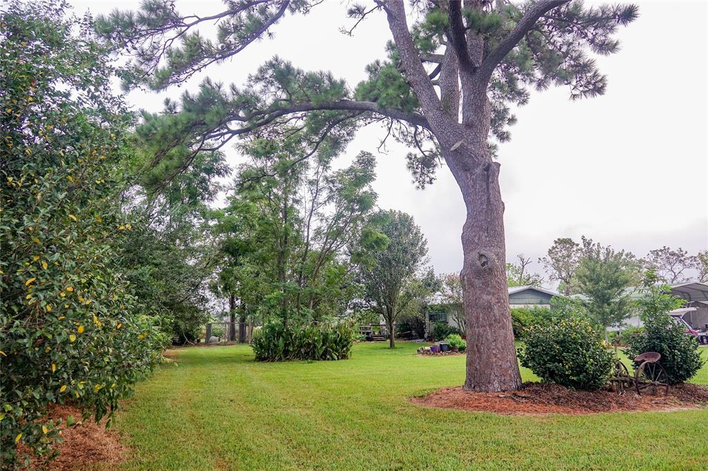 14134 Penick Rd Rd, Waller, Texas image 45