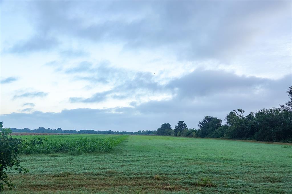 14134 Penick Rd Rd, Waller, Texas image 24
