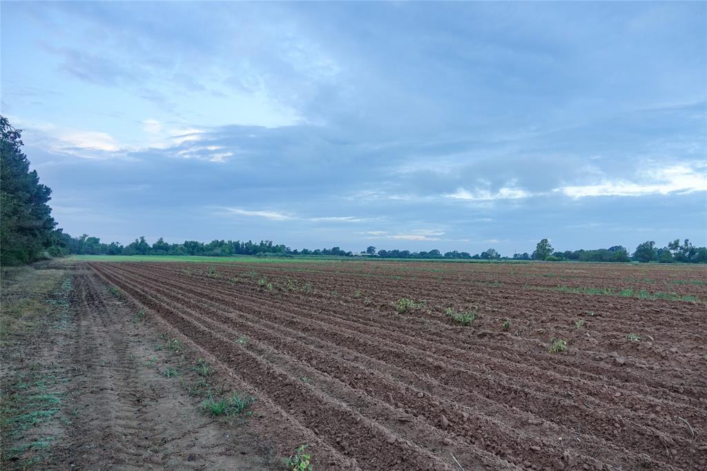 14134 Penick Rd Rd, Waller, Texas image 22