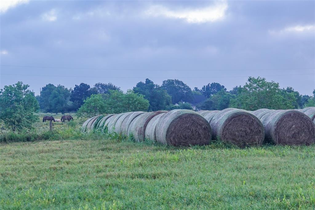 14134 Penick Rd Rd, Waller, Texas image 18