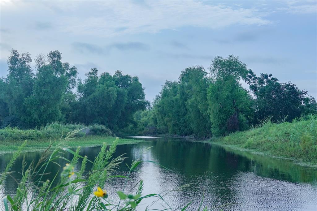 14134 Penick Rd Rd, Waller, Texas image 29