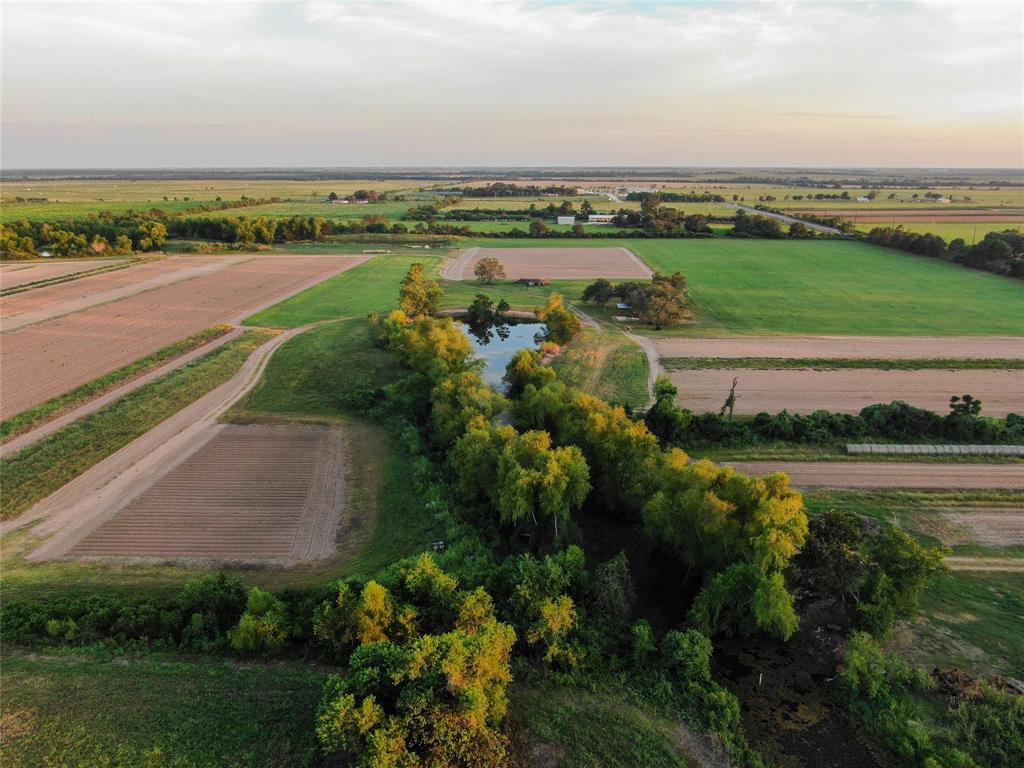 14134 Penick Rd Rd, Waller, Texas image 12