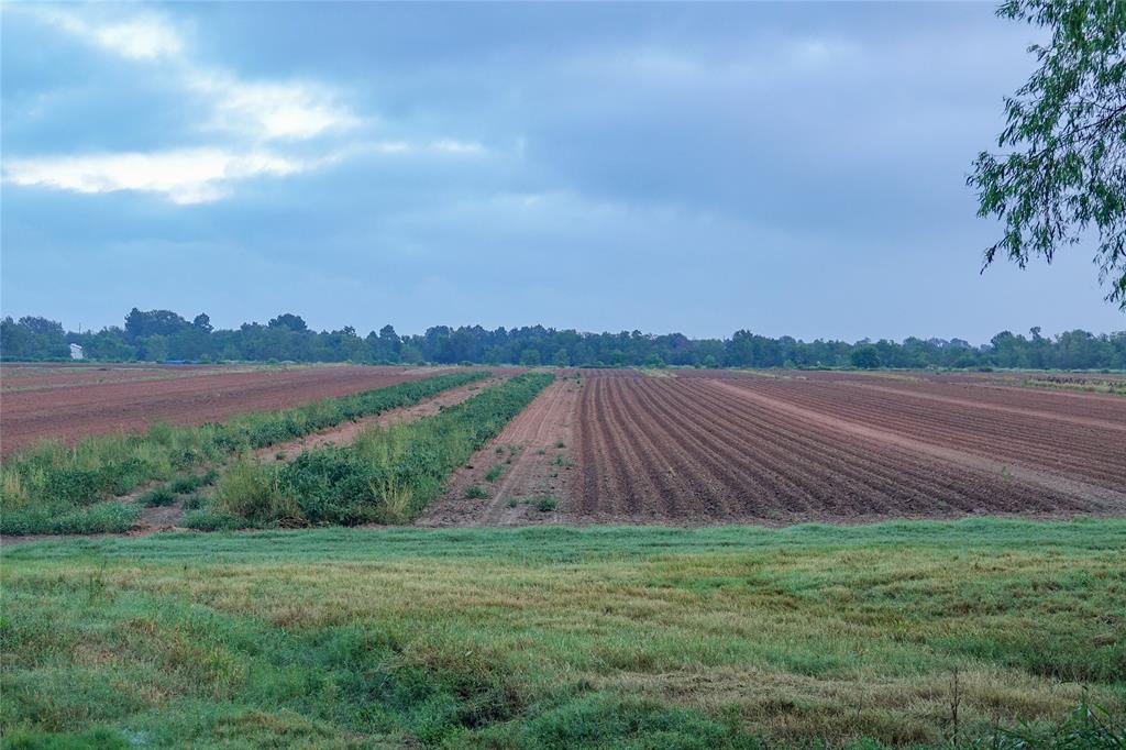 14134 Penick Rd Rd, Waller, Texas image 27