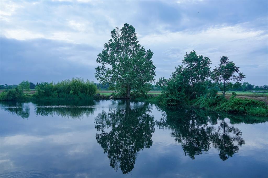 14134 Penick Rd Rd, Waller, Texas image 20