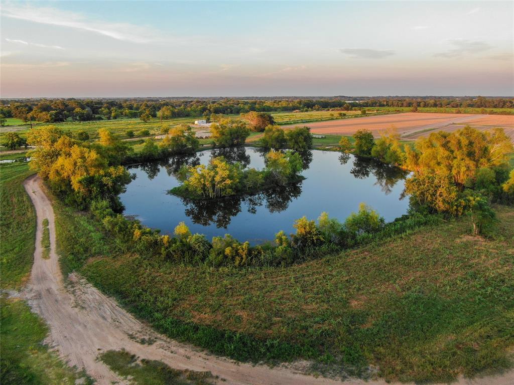 14134 Penick Rd Rd, Waller, Texas image 11
