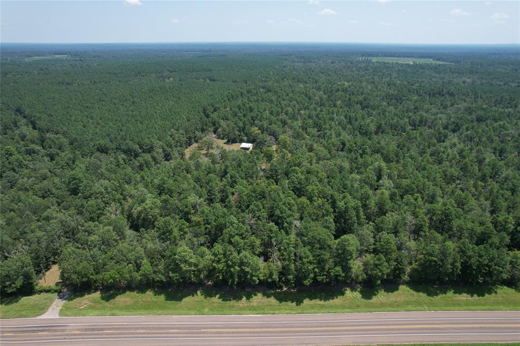 15717 S State Highway 19, Lovelady, Texas image 8