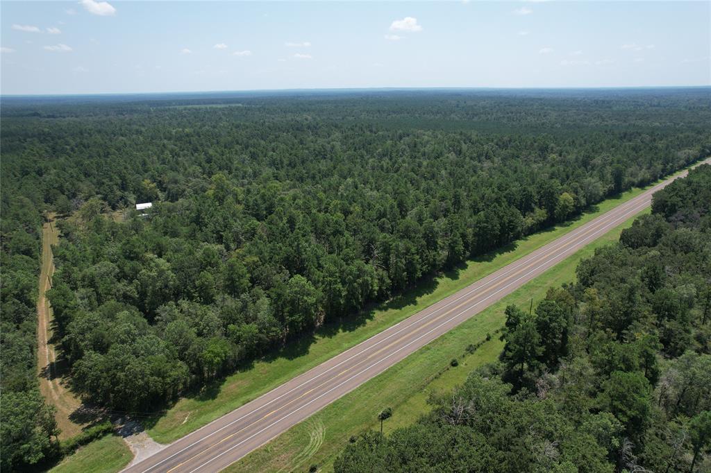 15717 S State Highway 19, Lovelady, Texas image 7