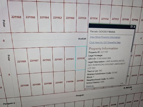 Photo of 0 Kodiak Drive, Angleton, TX 77515 (MLS # 75131719)