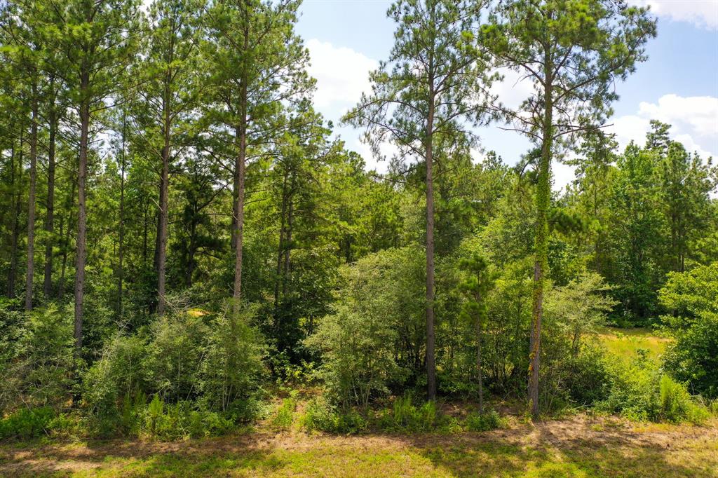 10784 Ruger Road Road