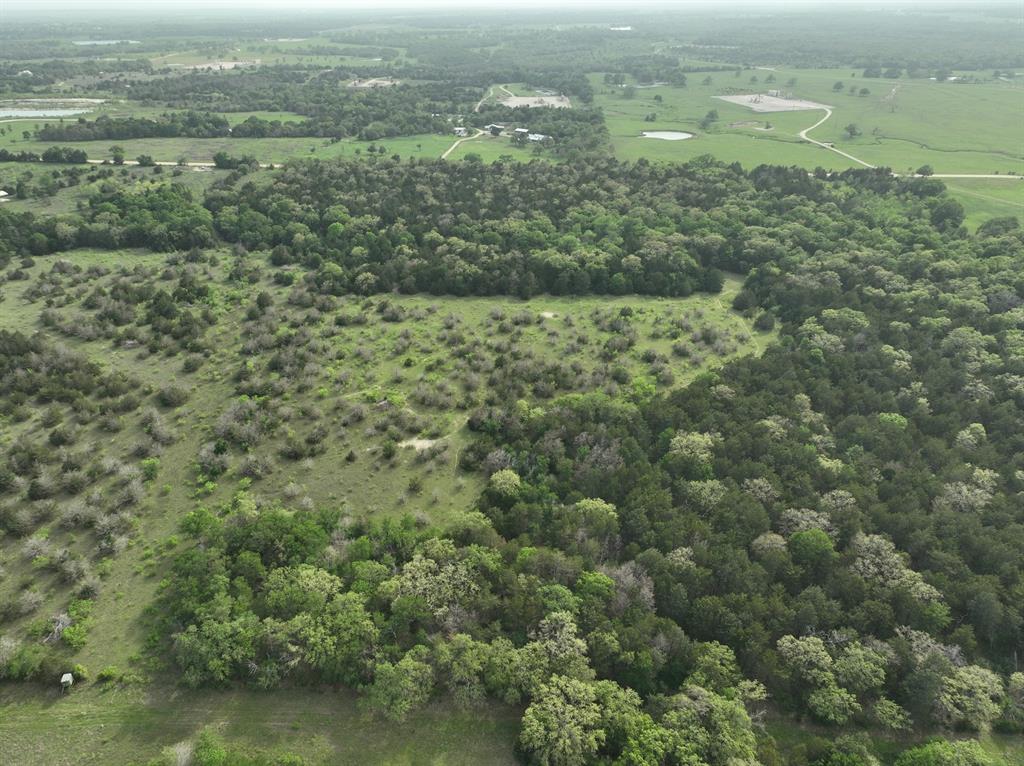 TBD (43.65 Acres) County Road 126, Caldwell, Texas image 13