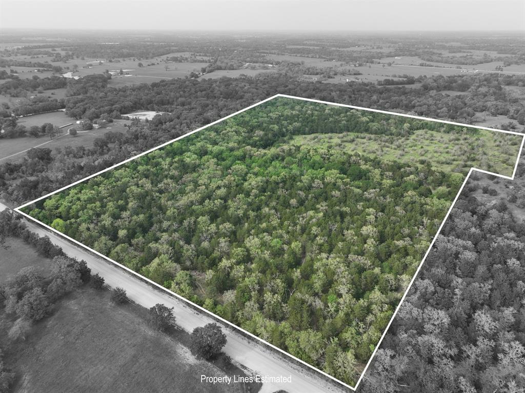 TBD (43.65 Acres) County Road 126, Caldwell, Texas image 8