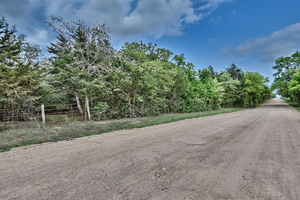TBD (43.65 Acres) County Road 126, Caldwell, Texas image 2