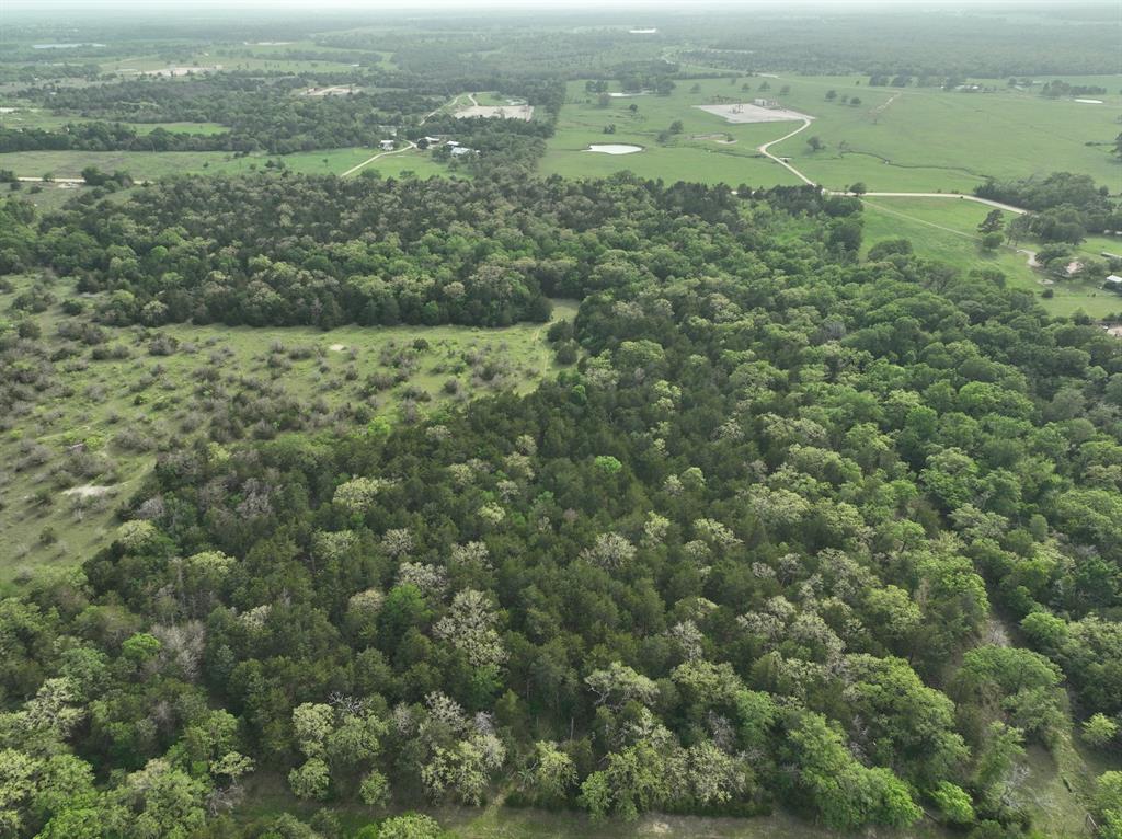 TBD (43.65 Acres) County Road 126, Caldwell, Texas image 12