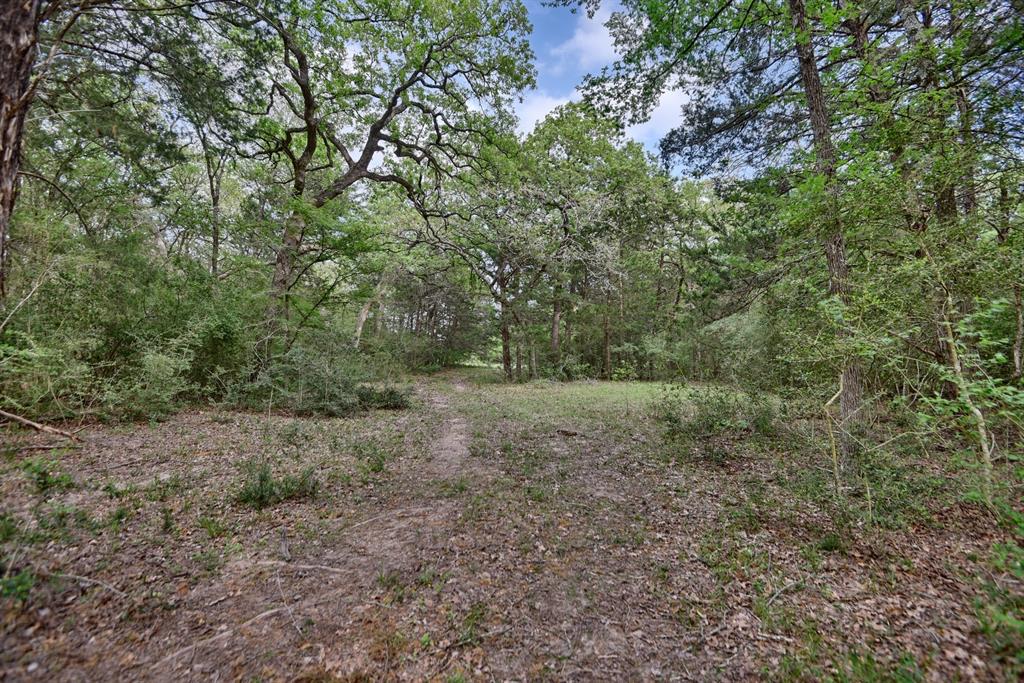 TBD (43.65 Acres) County Road 126, Caldwell, Texas image 5