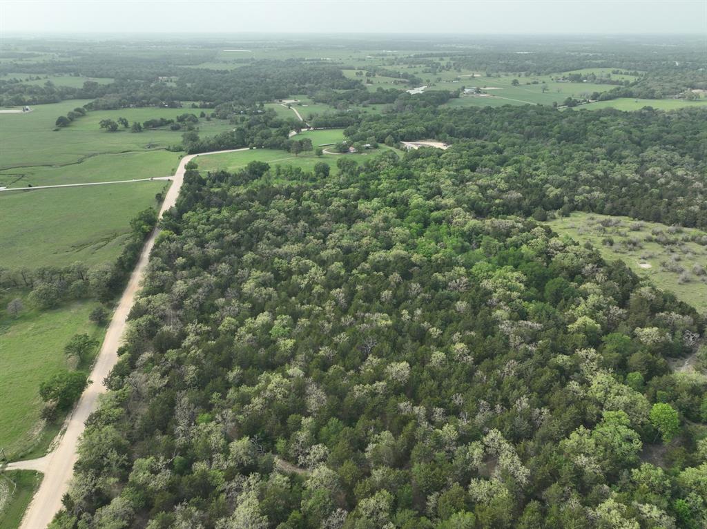 TBD (43.65 Acres) County Road 126, Caldwell, Texas image 20