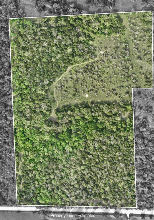 TBD (43.65 Acres) County Road 126, Caldwell, Texas image 24