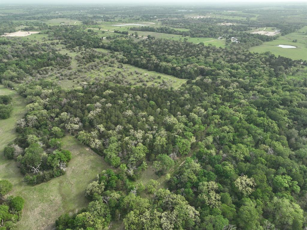 TBD (43.65 Acres) County Road 126, Caldwell, Texas image 16