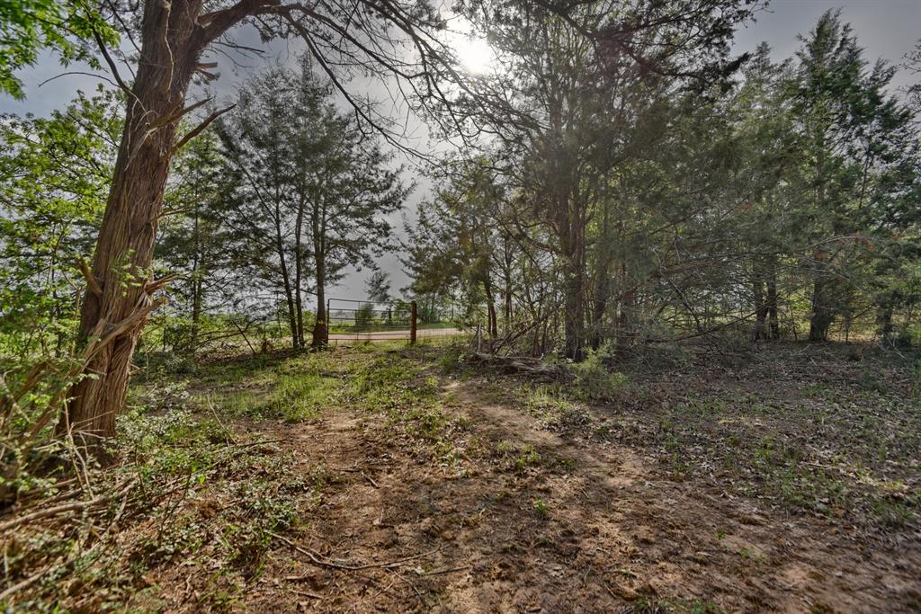 TBD (43.65 Acres) County Road 126, Caldwell, Texas image 7