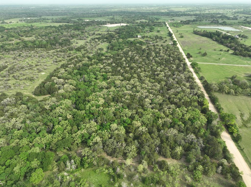 TBD (43.65 Acres) County Road 126, Caldwell, Texas image 17