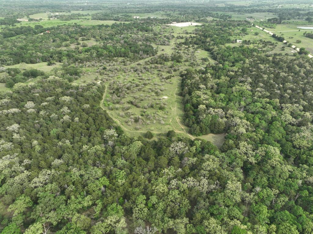 TBD (43.65 Acres) County Road 126, Caldwell, Texas image 18