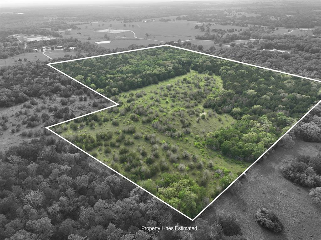 TBD (43.65 Acres) County Road 126, Caldwell, Texas image 10