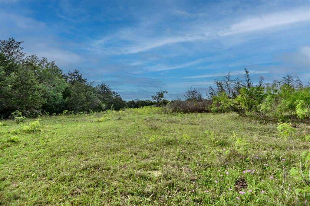 TBD (43.65 Acres) County Road 126, Caldwell, Texas image 28