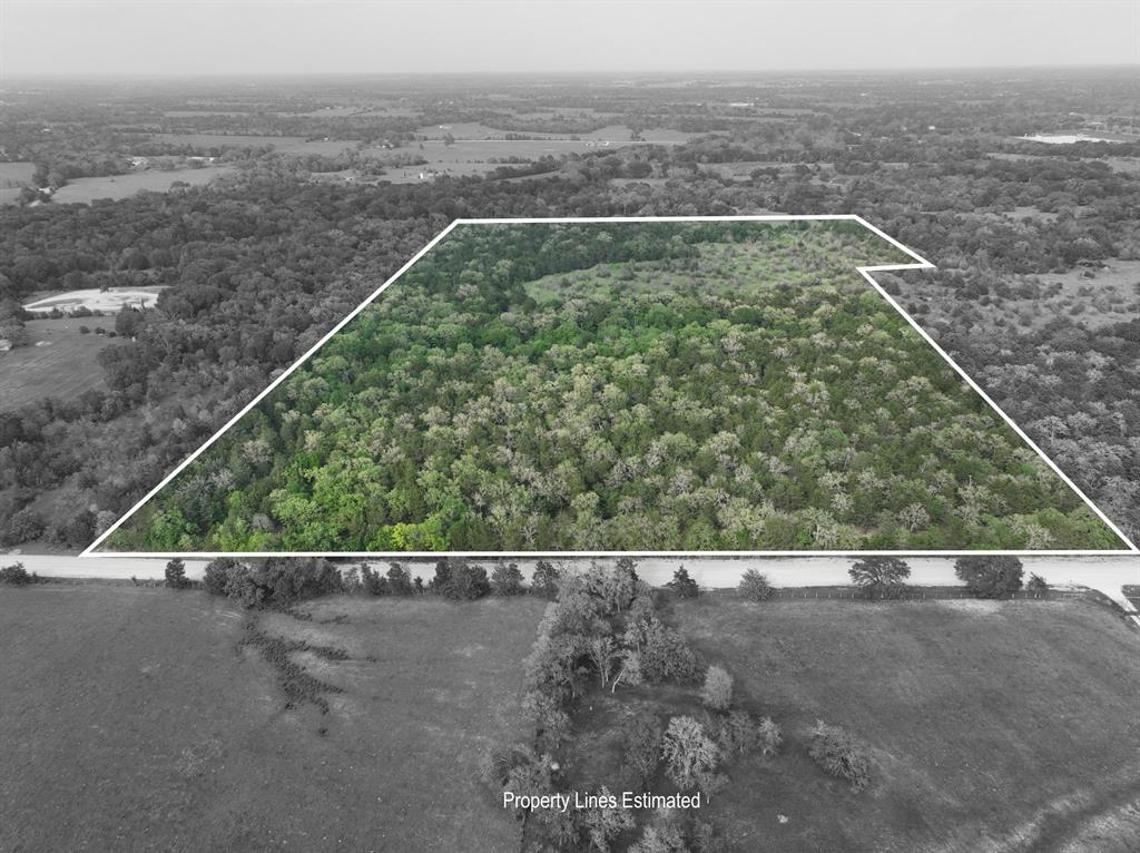 TBD (43.65 Acres) County Road 126, Caldwell, Texas image 9