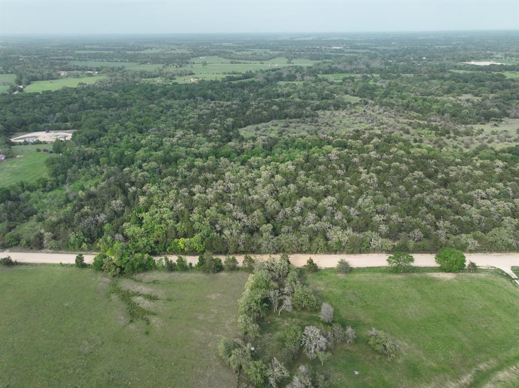 TBD (43.65 Acres) County Road 126, Caldwell, Texas image 23