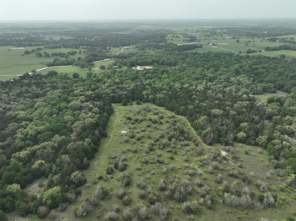 TBD (43.65 Acres) County Road 126, Caldwell, Texas image 22