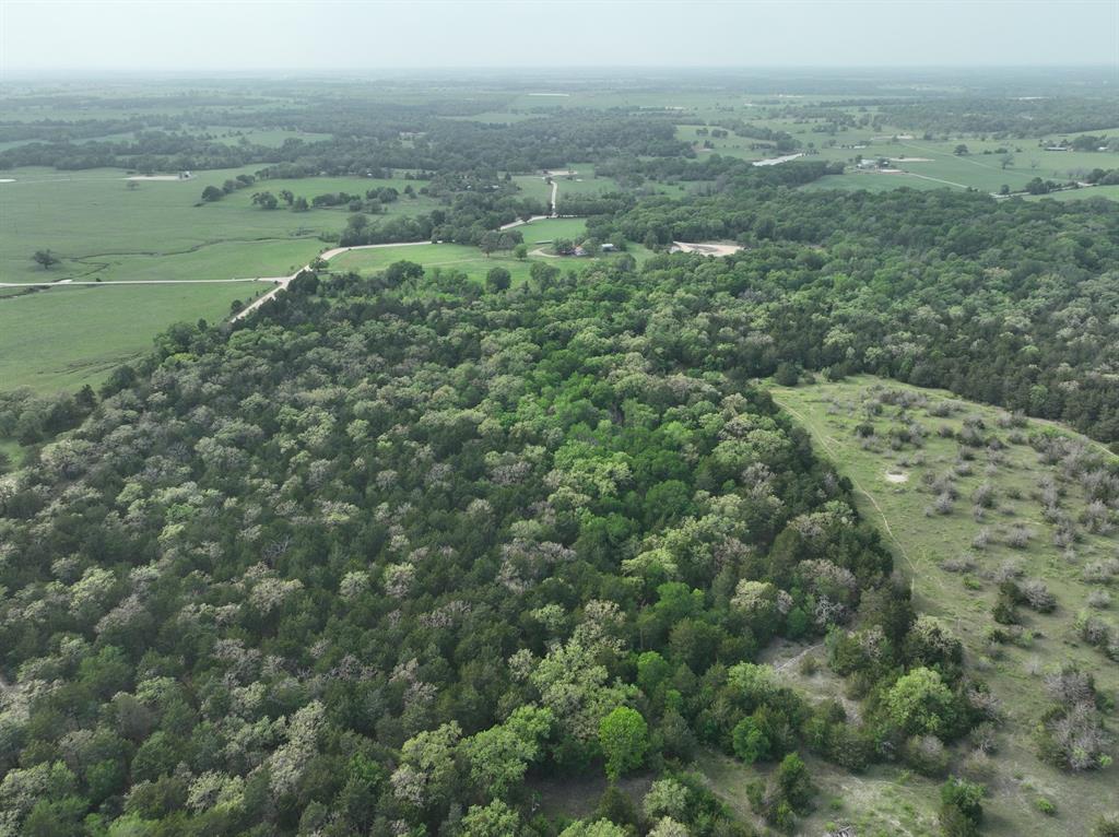 TBD (43.65 Acres) County Road 126, Caldwell, Texas image 21