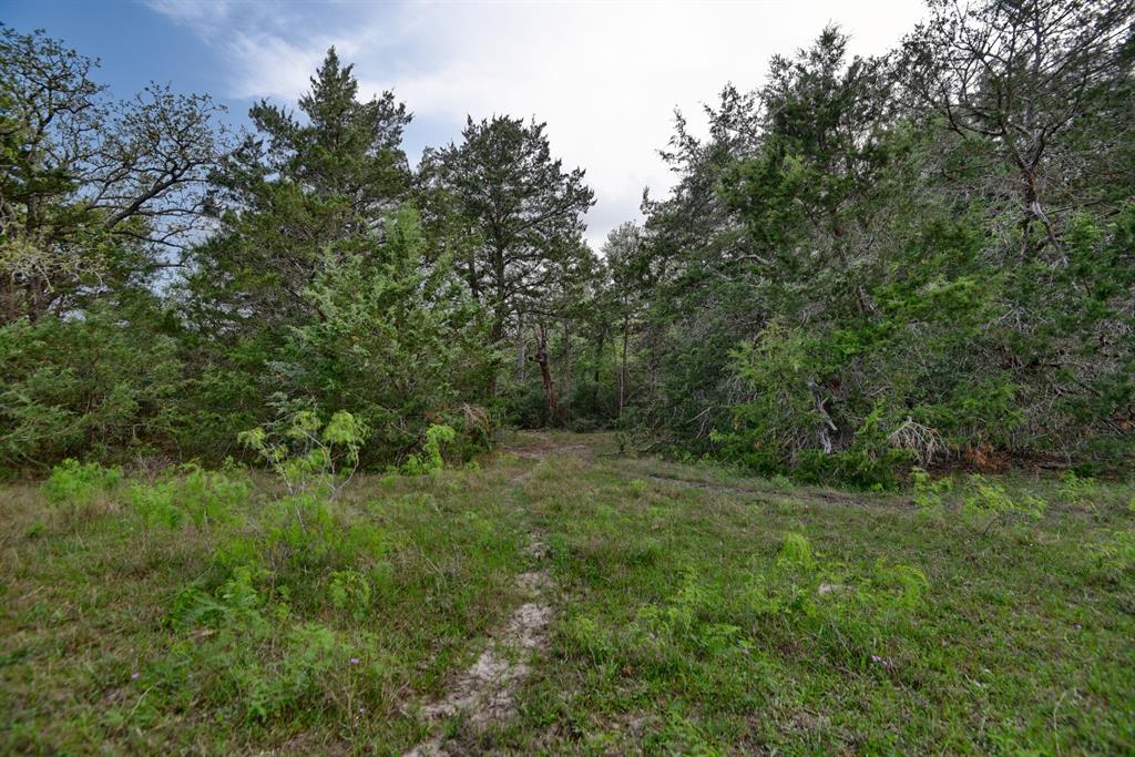 TBD (43.65 Acres) County Road 126, Caldwell, Texas image 32