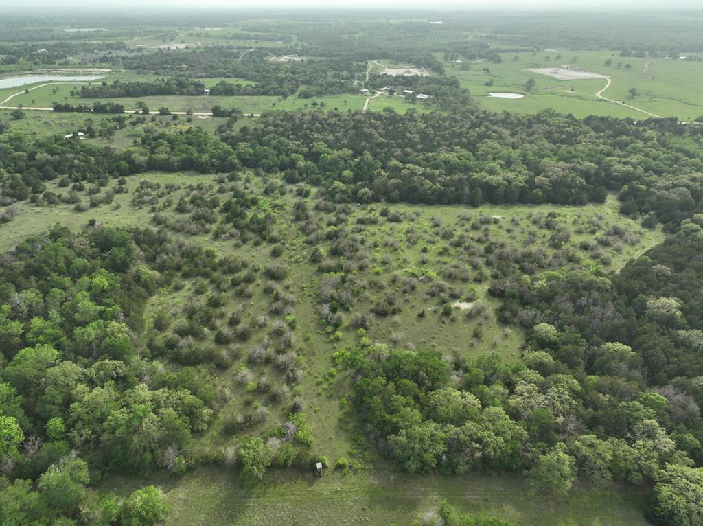TBD (43.65 Acres) County Road 126, Caldwell, Texas image 14