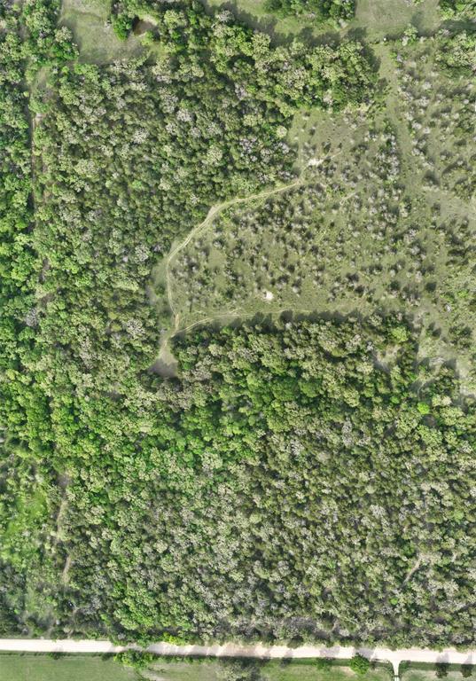 TBD (43.65 Acres) County Road 126, Caldwell, Texas image 25