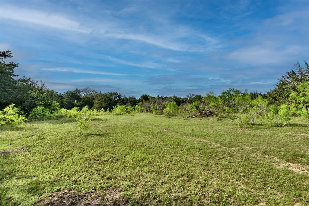 TBD (43.65 Acres) County Road 126, Caldwell, Texas image 31
